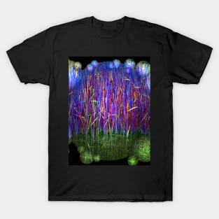 Many Coloured Reeds 2-Available As Art Prints-Mugs,Cases,Duvets,T Shirts,Stickers,etc T-Shirt